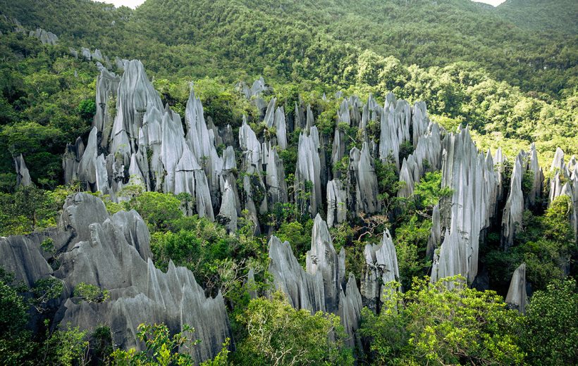 Exotic and Adventurous