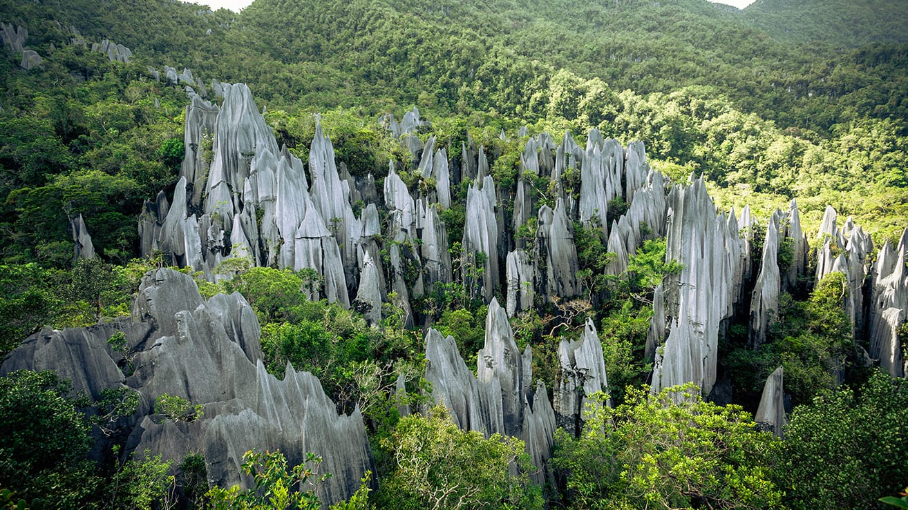 The limestone Pinnacles rising from rainforest at Gunung Mulu National Park
